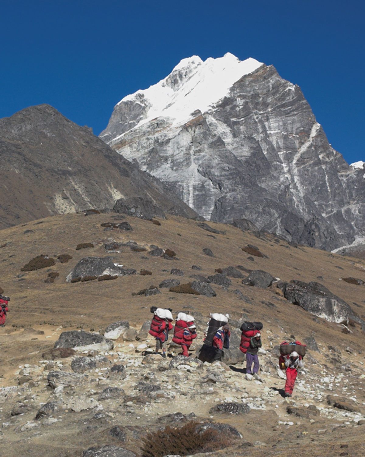 world himalaya treks and expedition