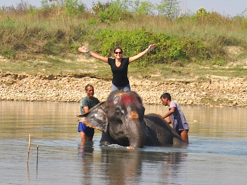 Chitwan National Park: The Heart of the Jungle